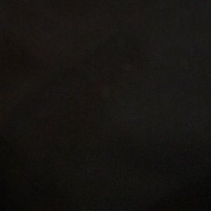 Meet your Posher, Miles